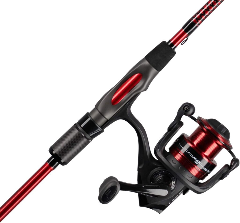 Best Fishing Rods for Beginners